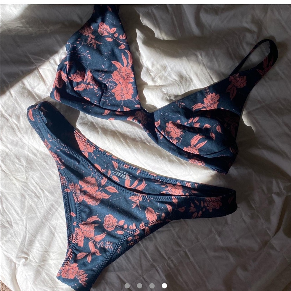 Stone fox swim